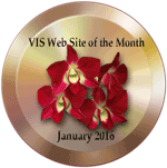 VIS sWeb SIte of the Month, January 2016