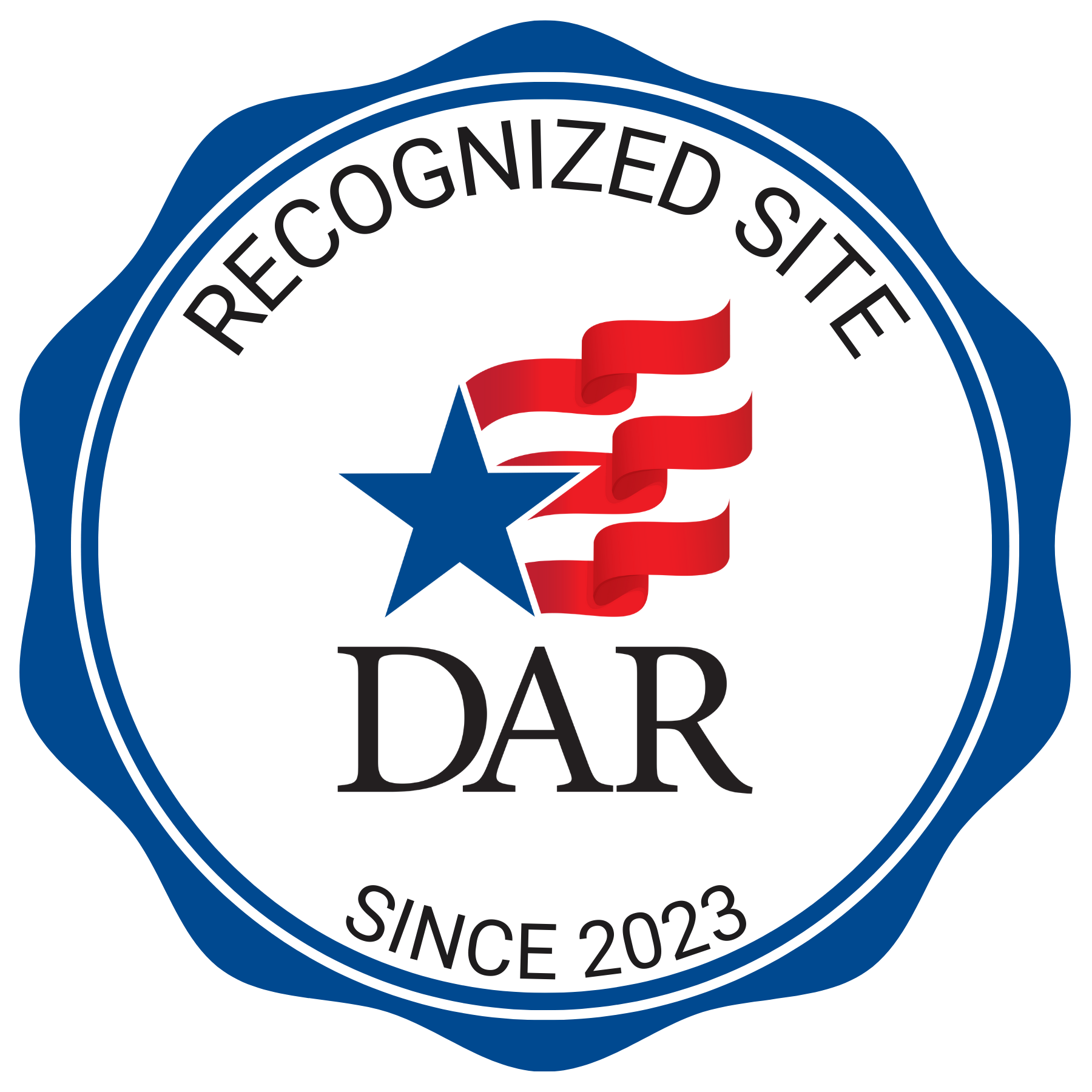 NSDAR Recognized Website 2023